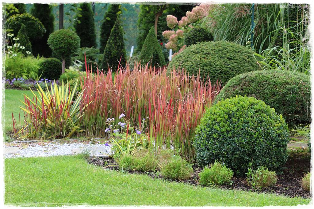 Trawy w ogrodzie aranżacje 110i Trawy w ogrodzie aranżacje 110i