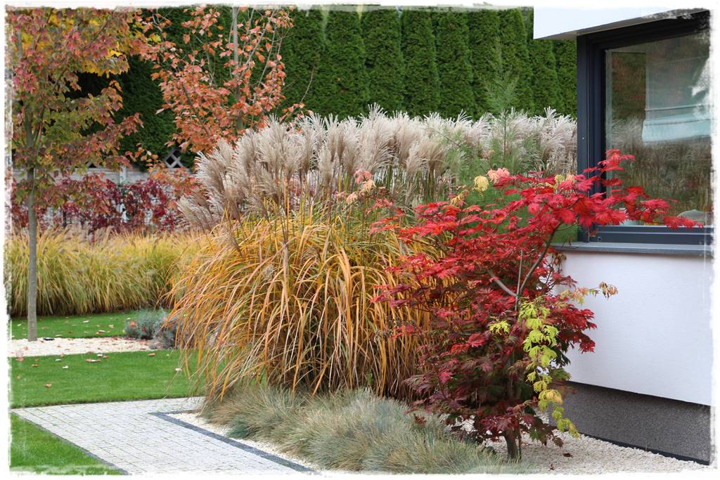 Trawy w ogrodzie aranżacje 120 Trawy w ogrodzie aranżacje 120