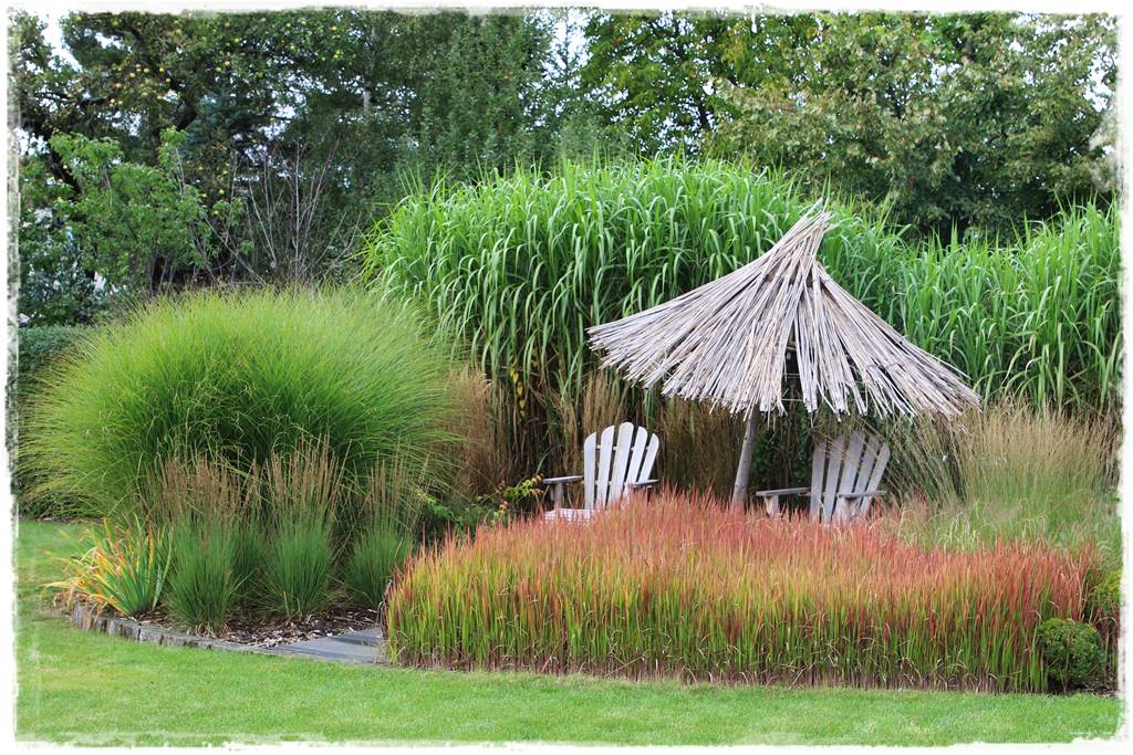 Trawy w ogrodzie aranżacje 130 Trawy w ogrodzie aranżacje 130