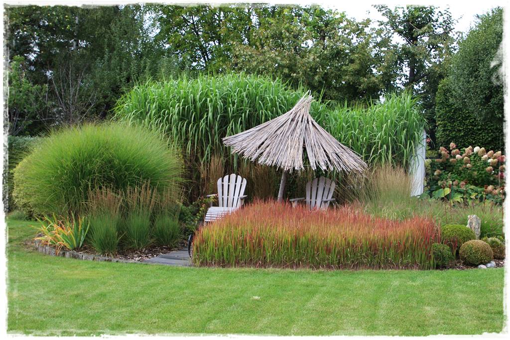 Trawy w ogrodzie aranżacje 130b Trawy w ogrodzie aranżacje 130b