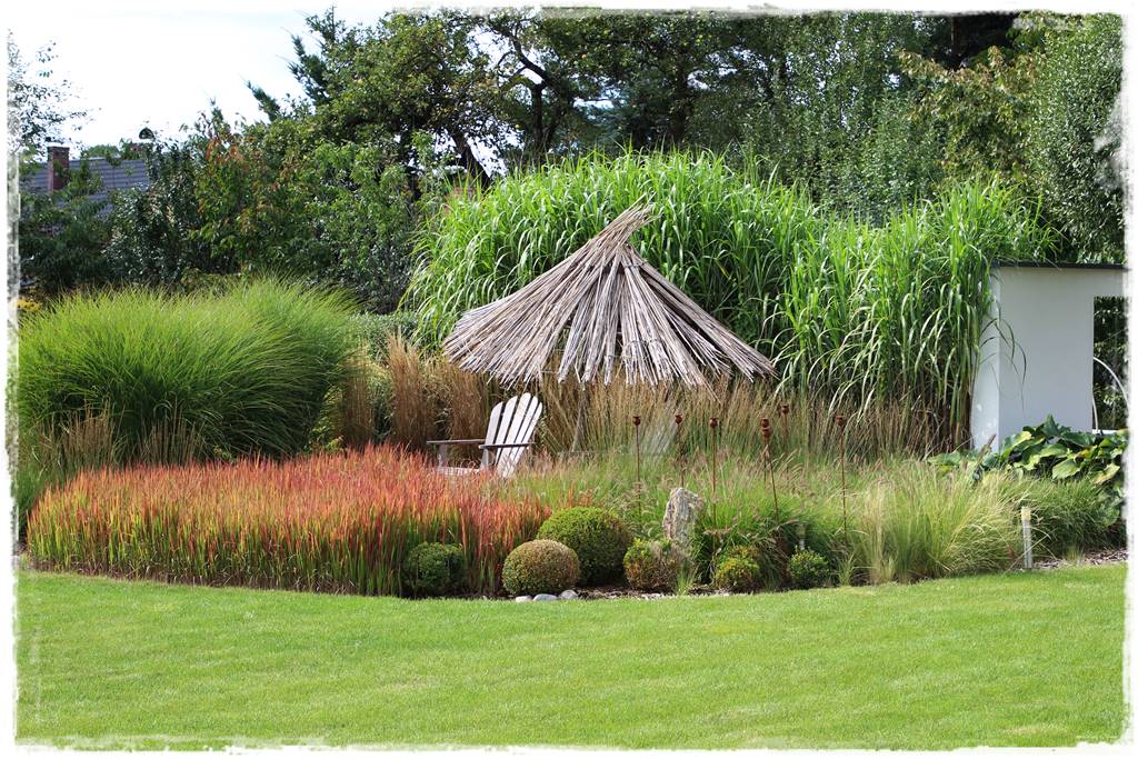 Trawy w ogrodzie aranżacje 130e Trawy w ogrodzie aranżacje 130e