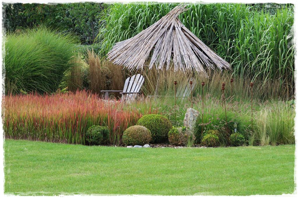 Trawy w ogrodzie aranżacje 130f Trawy w ogrodzie aranżacje 130f