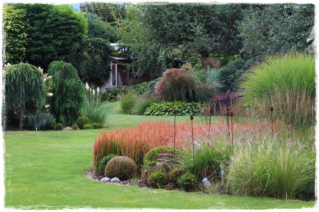 Trawy w ogrodzie aranżacje 130h Trawy w ogrodzie aranżacje 130h