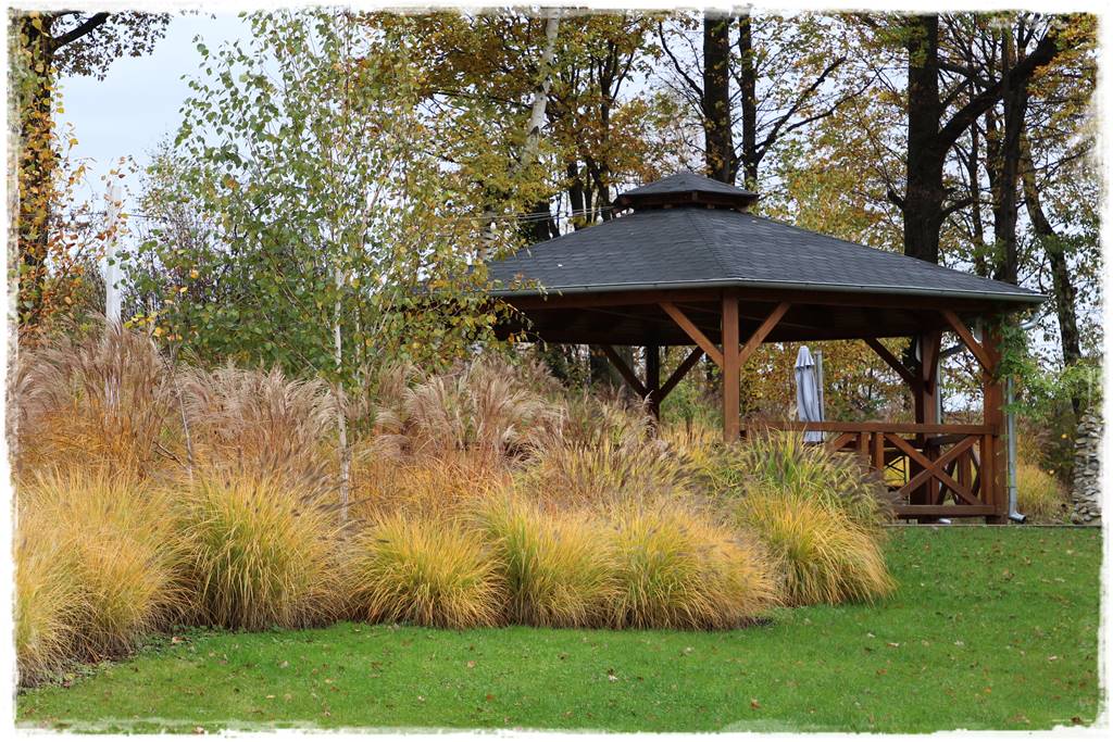 Trawy w ogrodzie aranżacje 140 Trawy w ogrodzie aranżacje 140