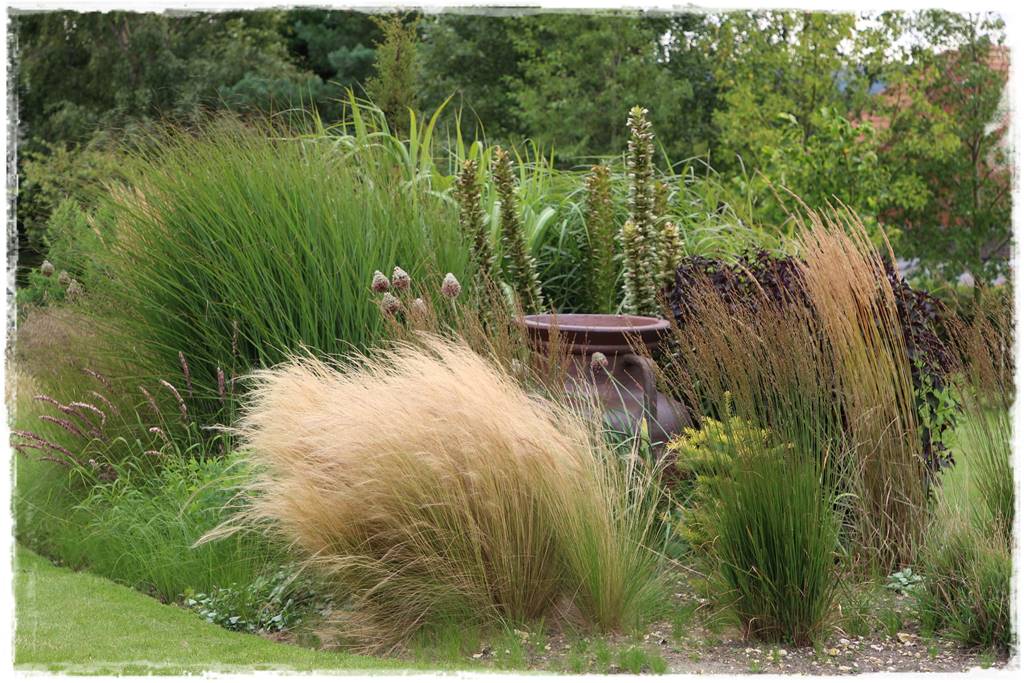 Trawy w ogrodzie aranżacje 150 Trawy w ogrodzie aranżacje 150