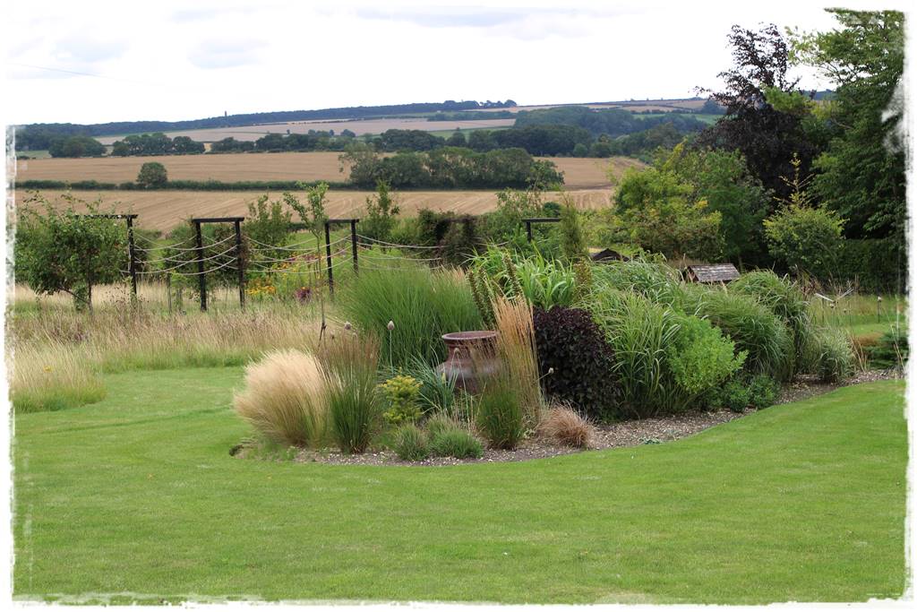 Trawy w ogrodzie aranżacje 150a Trawy w ogrodzie aranżacje 150a