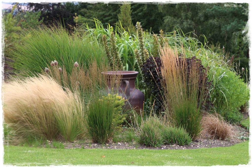 Trawy w ogrodzie aranżacje 150b Trawy w ogrodzie aranżacje 150b