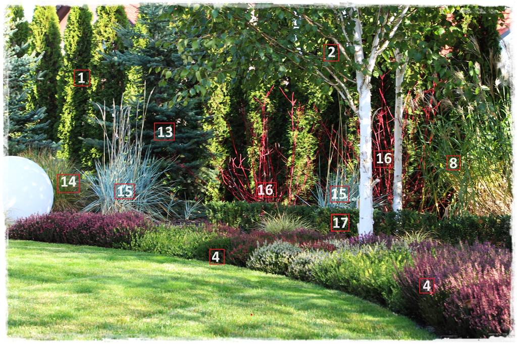 rabata z wrzosami 10