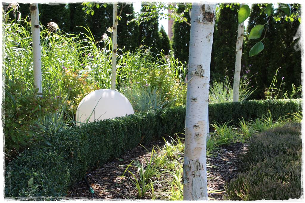 rabata z wrzosami 12