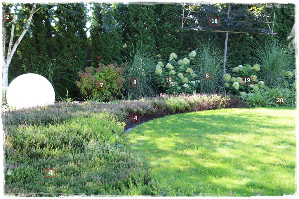 rabata z wrzosami 14