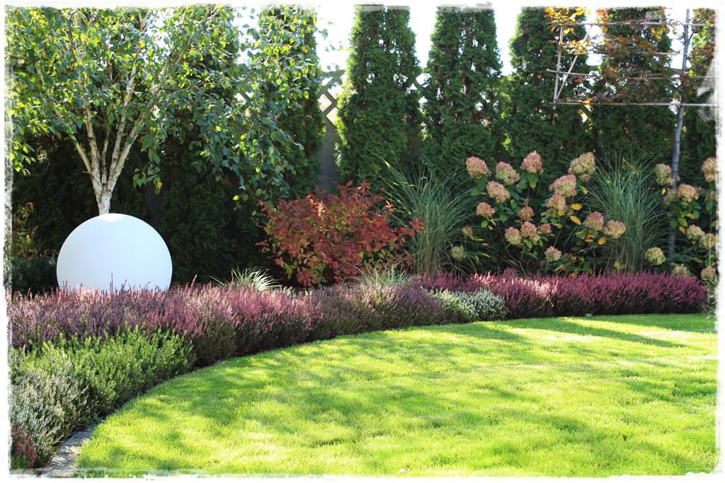 rabata z wrzosami 17