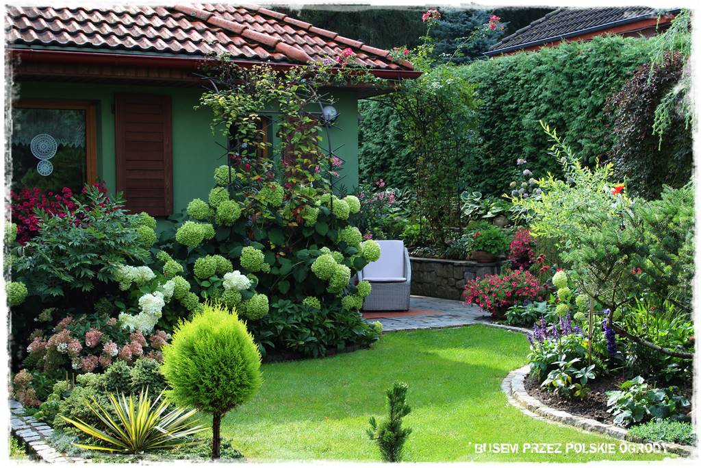 13 Ogrod przy lesie 1 13 Ogrod przy lesie 1