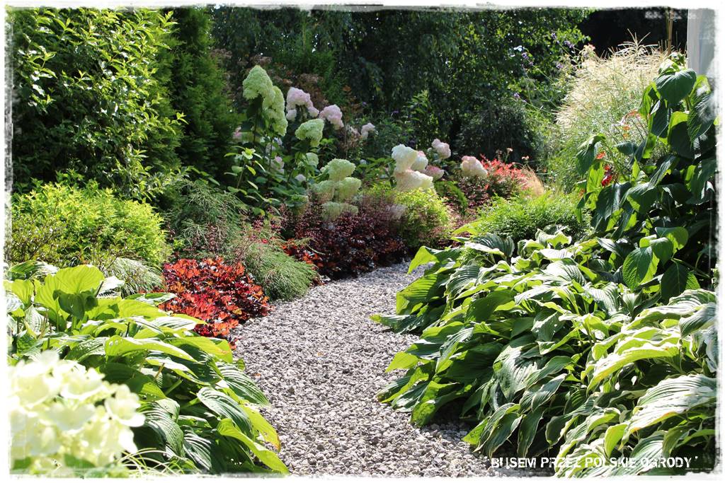 14 Ogrod dla oszczednych 1 14 Ogrod dla oszczednych 1