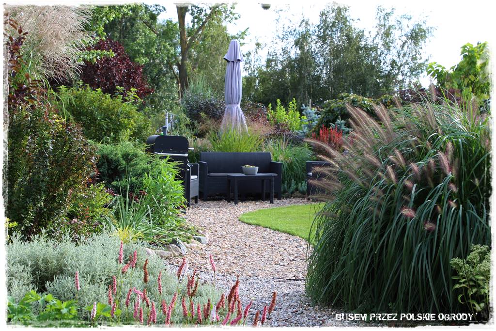 15 Ogrod bez trawnika 1 15 Ogrod bez trawnika 1