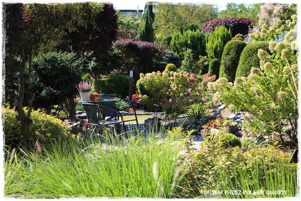 16 Formowany ogrod 1 16 Formowany ogrod 1
