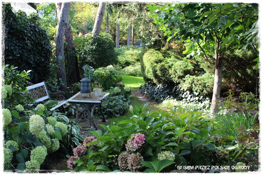 19 Lesny ogrod 1 19 Lesny ogrod 1