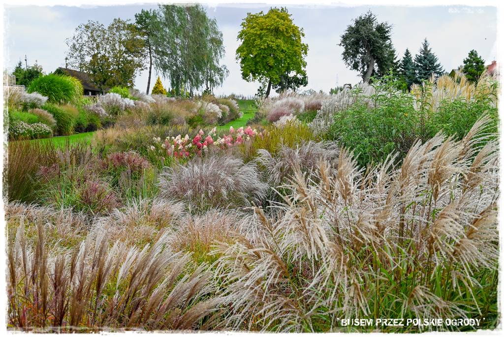 20 Majowe ogrody 1 20 Majowe ogrody 1