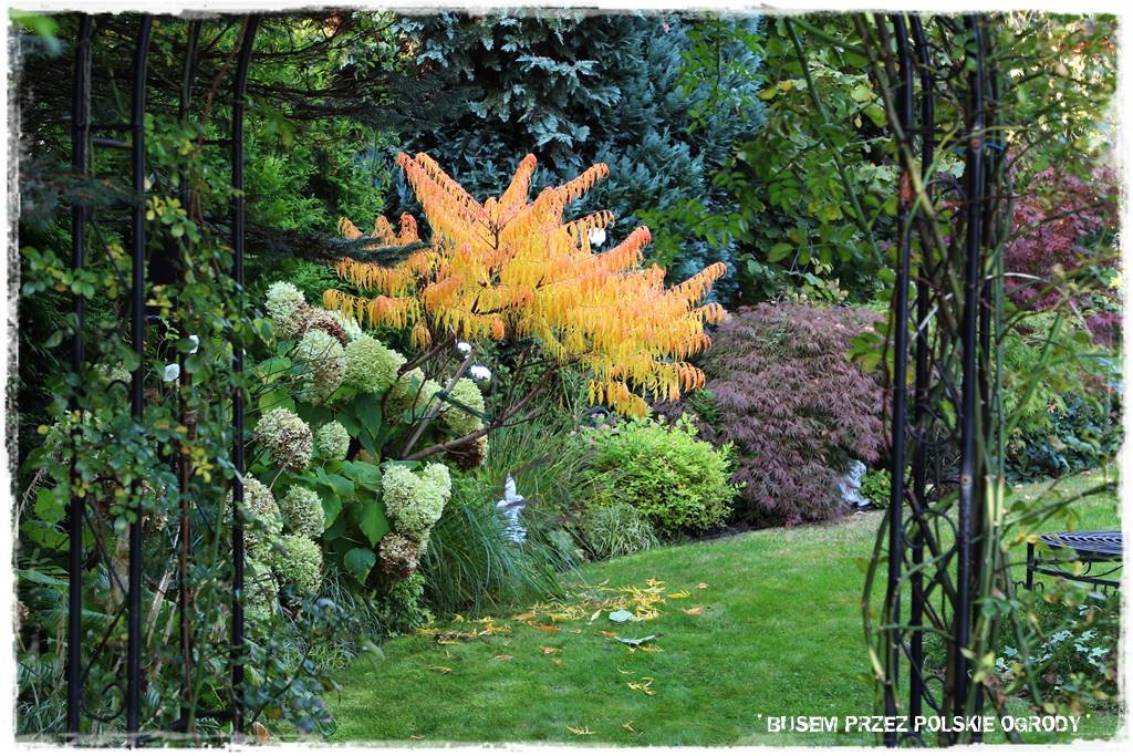 22 Ogrod w stylu angielskim 1 22 Ogrod w stylu angielskim 1