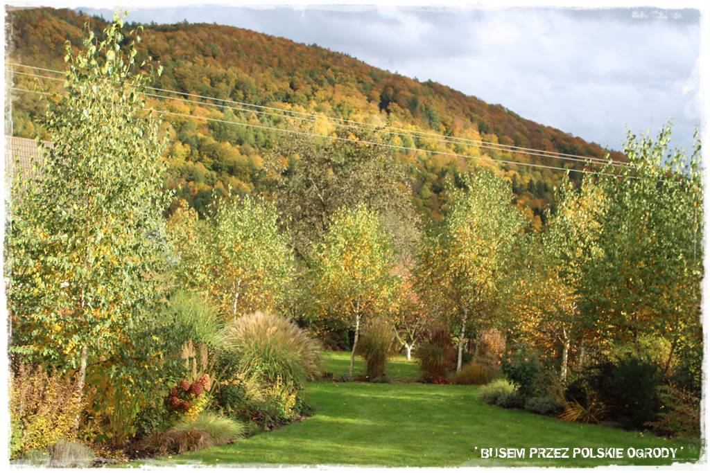 Aranżacja dużego ogrodu 1