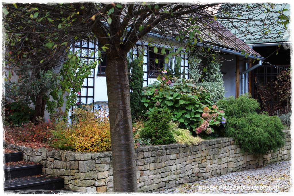 Aranżacja dużego ogrodu 10