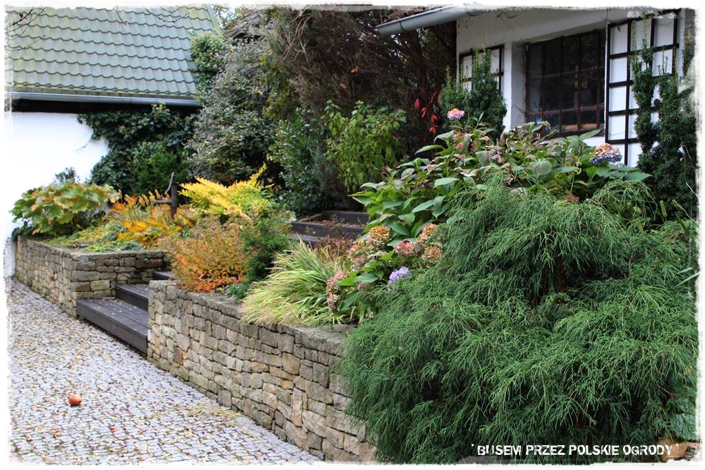 Aranżacja dużego ogrodu 11