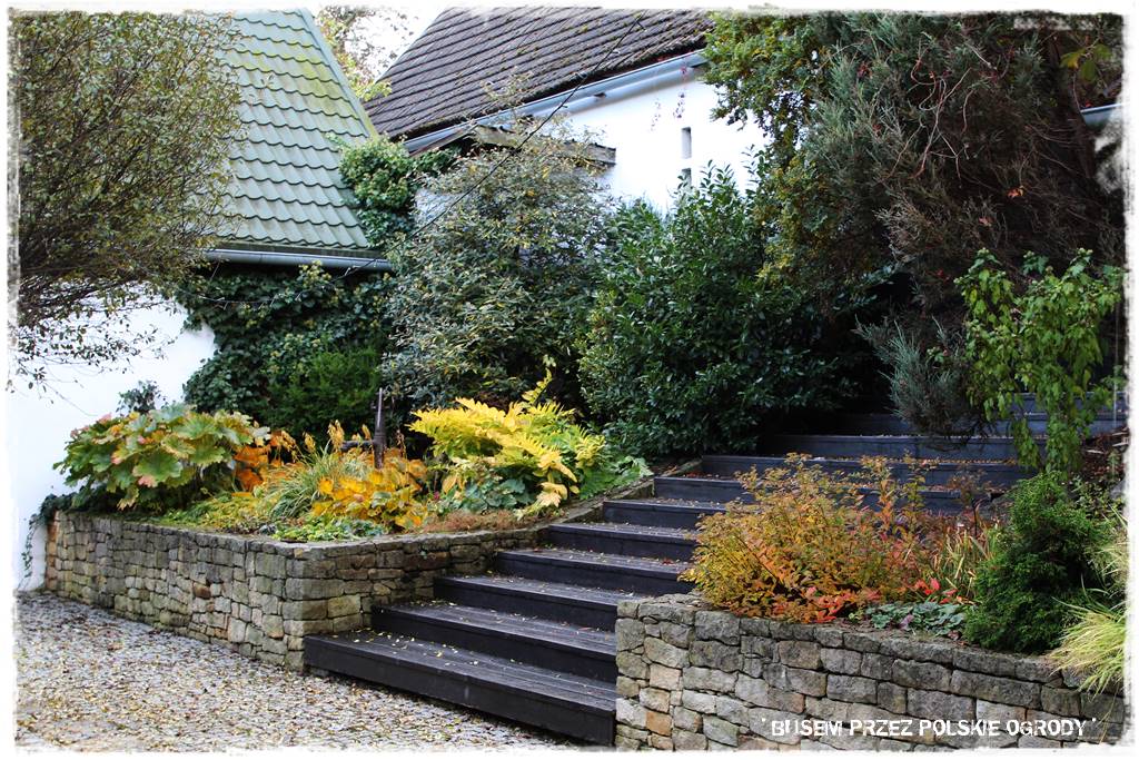 Aranżacja dużego ogrodu 14