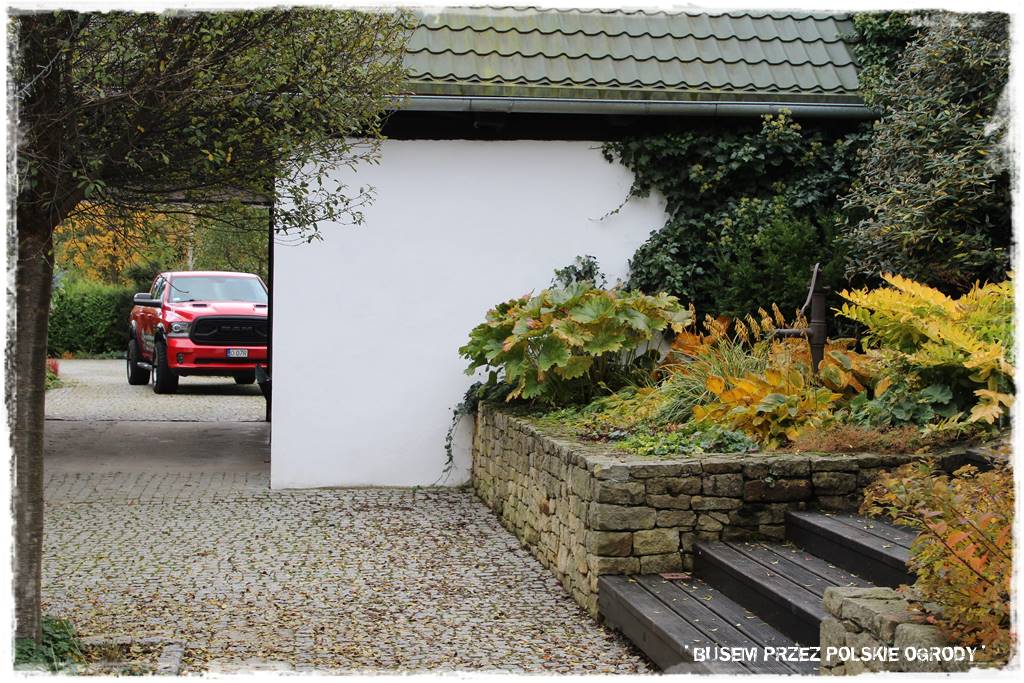 Aranżacja dużego ogrodu 16