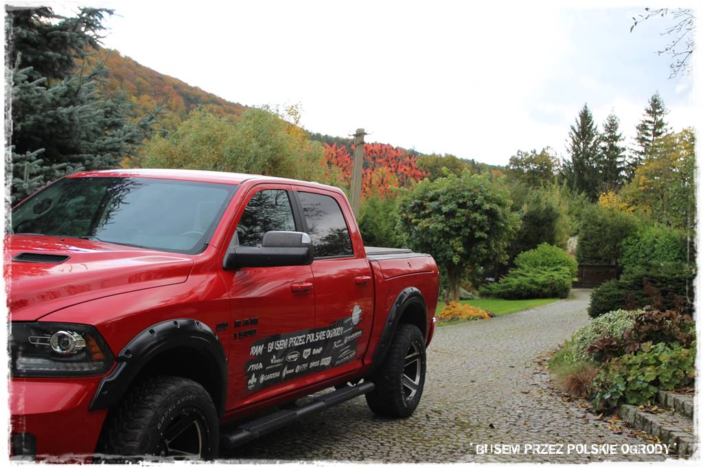 Aranżacja dużego ogrodu 17