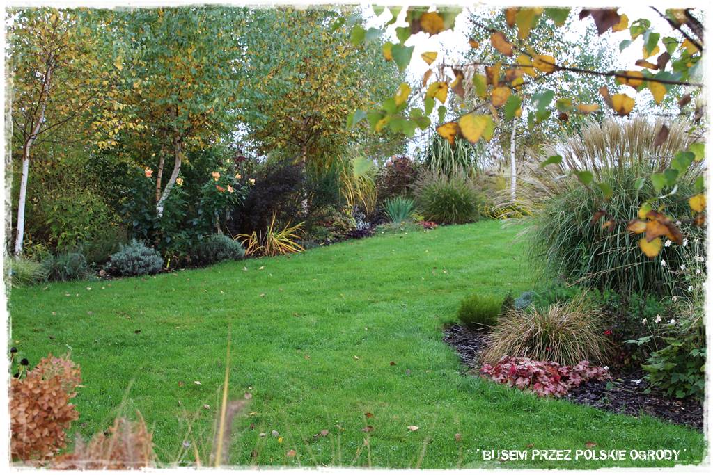 Aranżacja dużego ogrodu 2