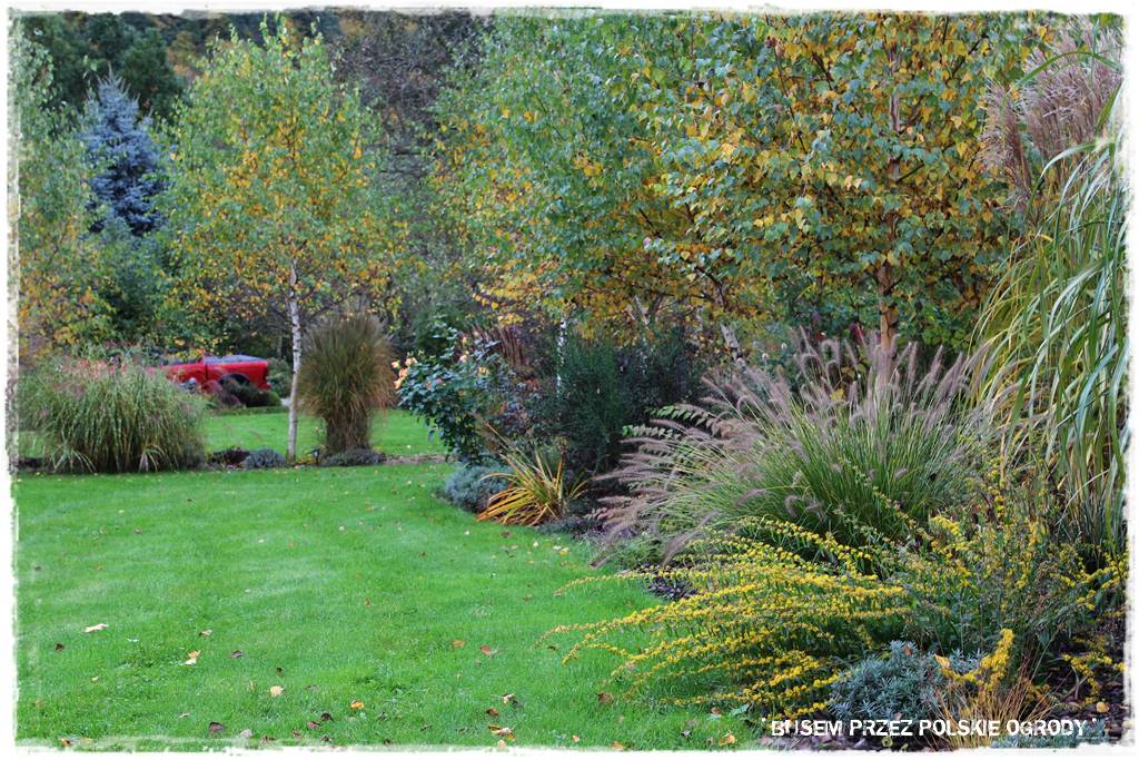 Aranżacja dużego ogrodu 3