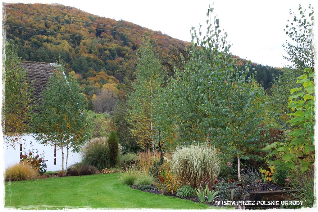 Aranżacja dużego ogrodu 30