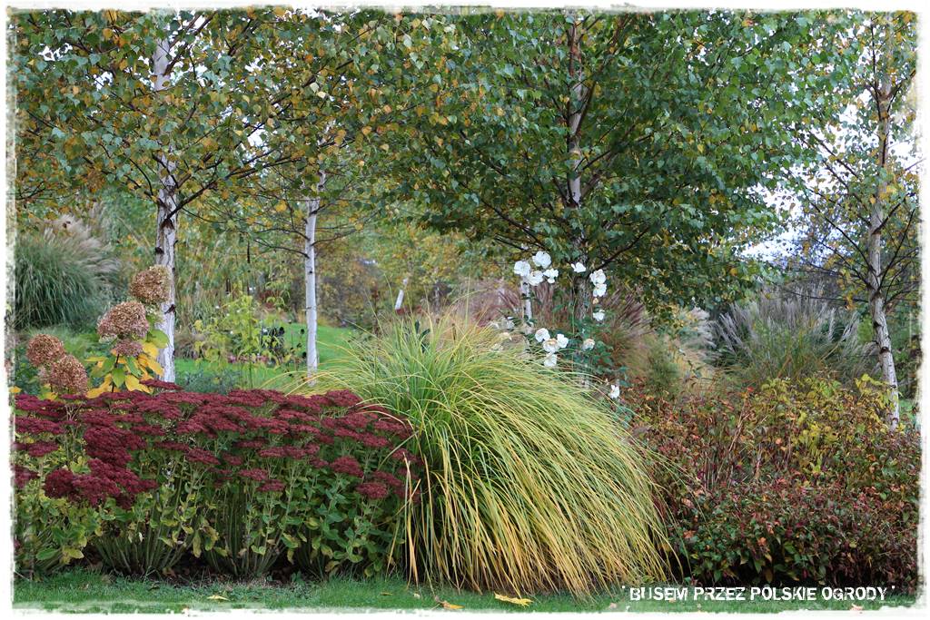 Aranżacja dużego ogrodu 33