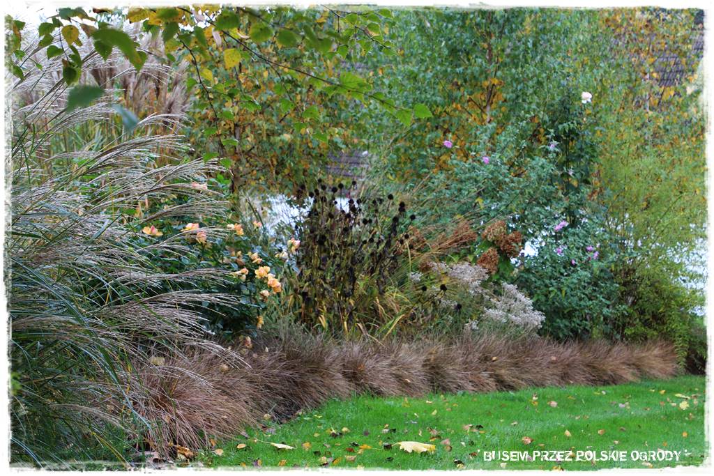 Aranżacja dużego ogrodu 34