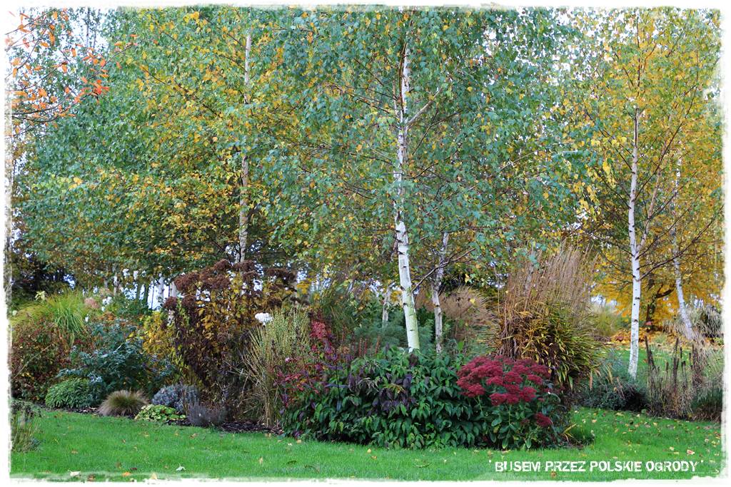 Aranżacja dużego ogrodu 35