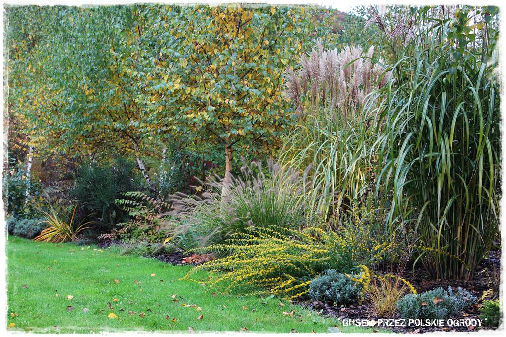 Aranżacja dużego ogrodu 36
