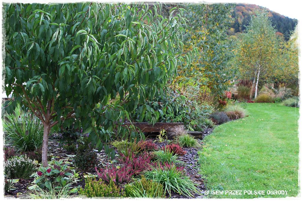 Aranżacja dużego ogrodu 38