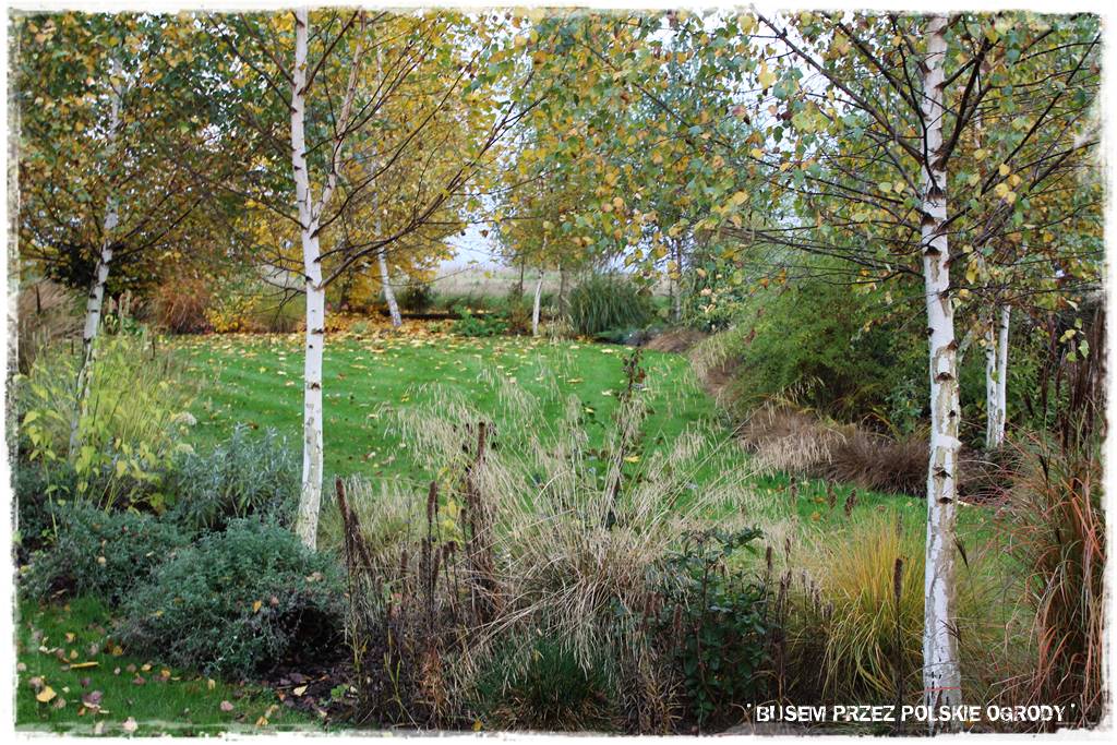 Aranżacja dużego ogrodu 40