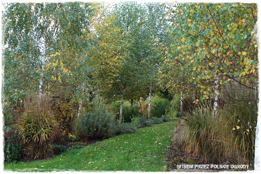 Aranżacja dużego ogrodu 41