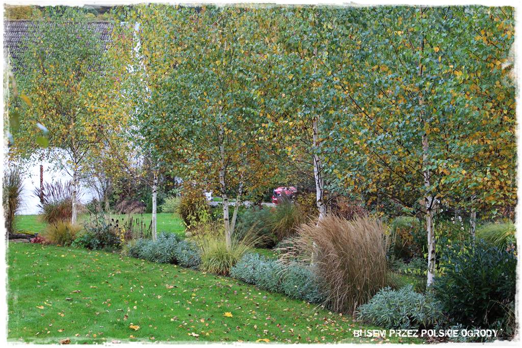 Aranżacja dużego ogrodu 42