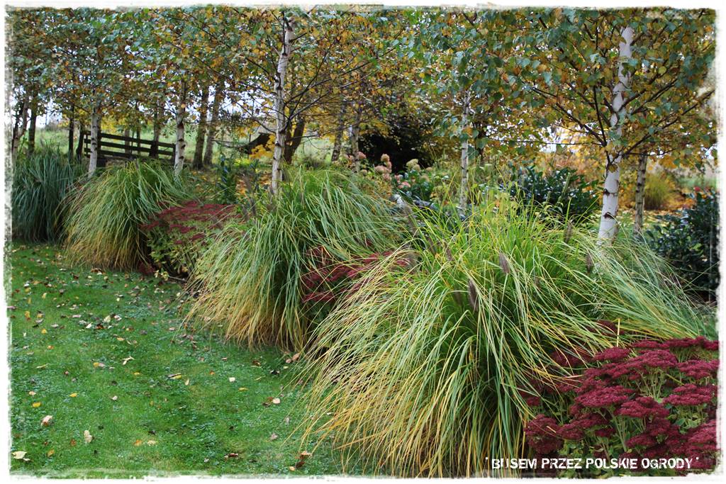 Aranżacja dużego ogrodu 45