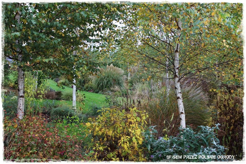 Aranżacja dużego ogrodu 46