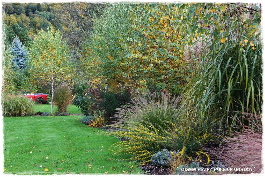 Aranżacja dużego ogrodu 47