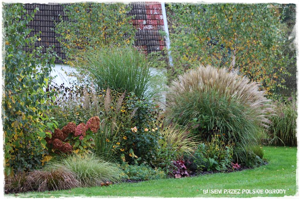Aranżacja dużego ogrodu 48