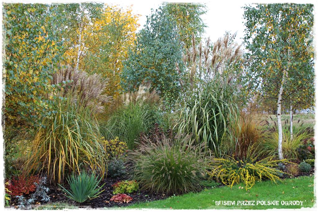Aranżacja dużego ogrodu 49