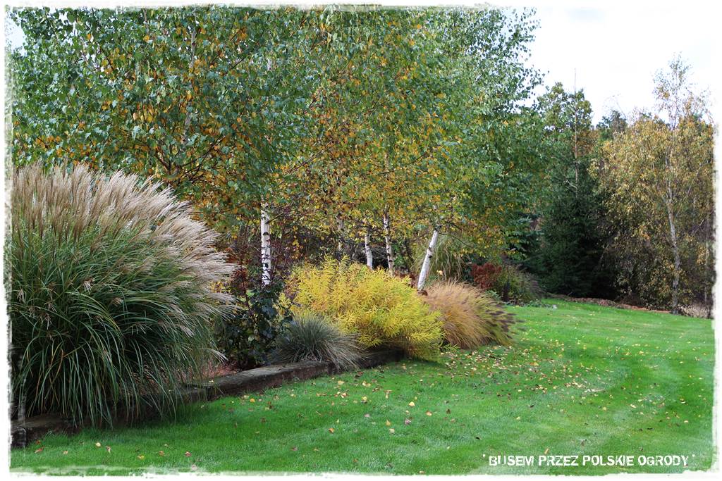Aranżacja dużego ogrodu 52
