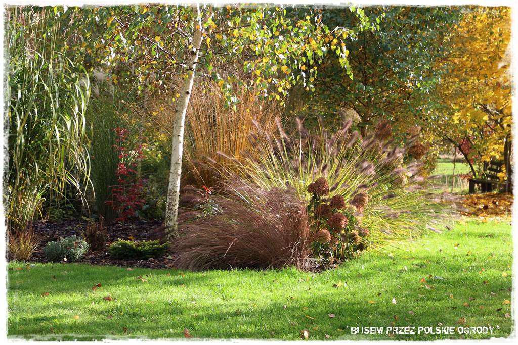 Aranżacja dużego ogrodu 53