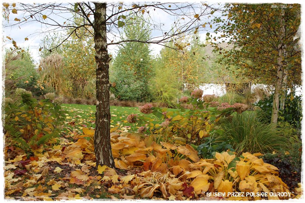Aranżacja dużego ogrodu 54