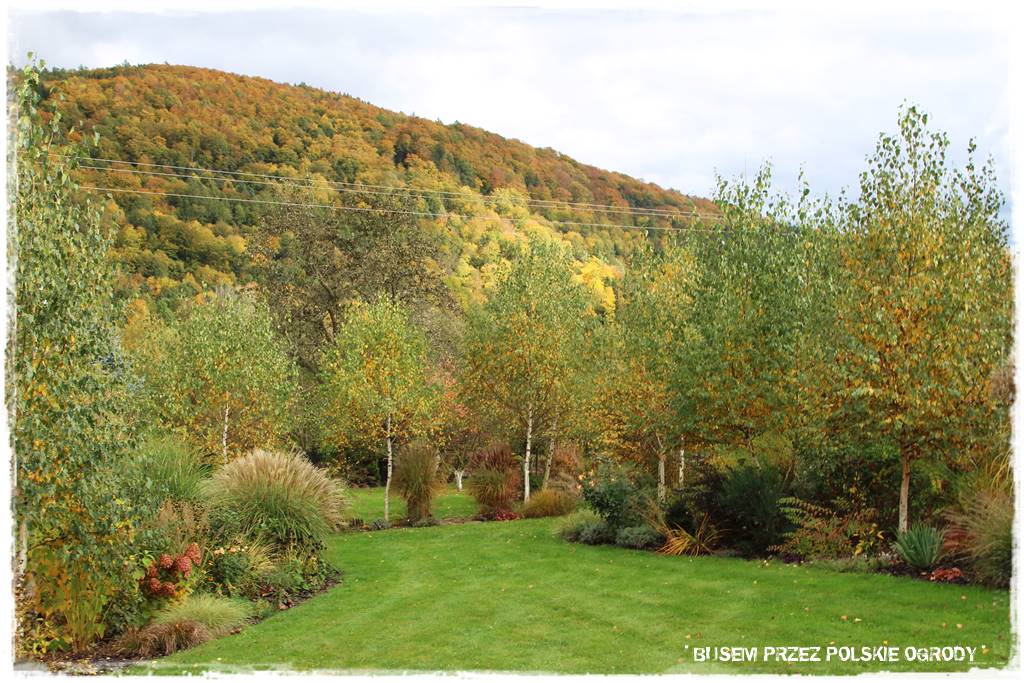 Aranżacja dużego ogrodu 55