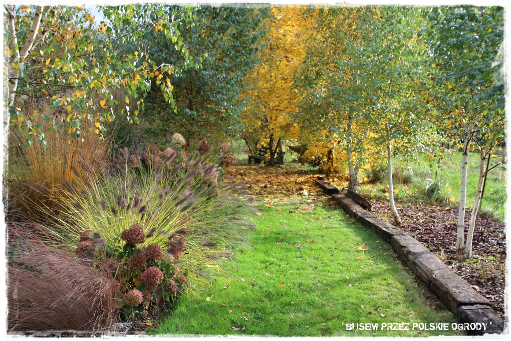 Aranżacja dużego ogrodu 56