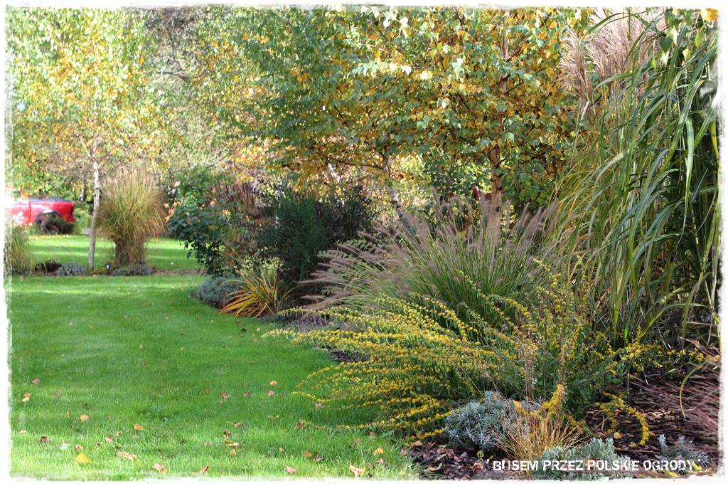 Aranżacja dużego ogrodu 56a